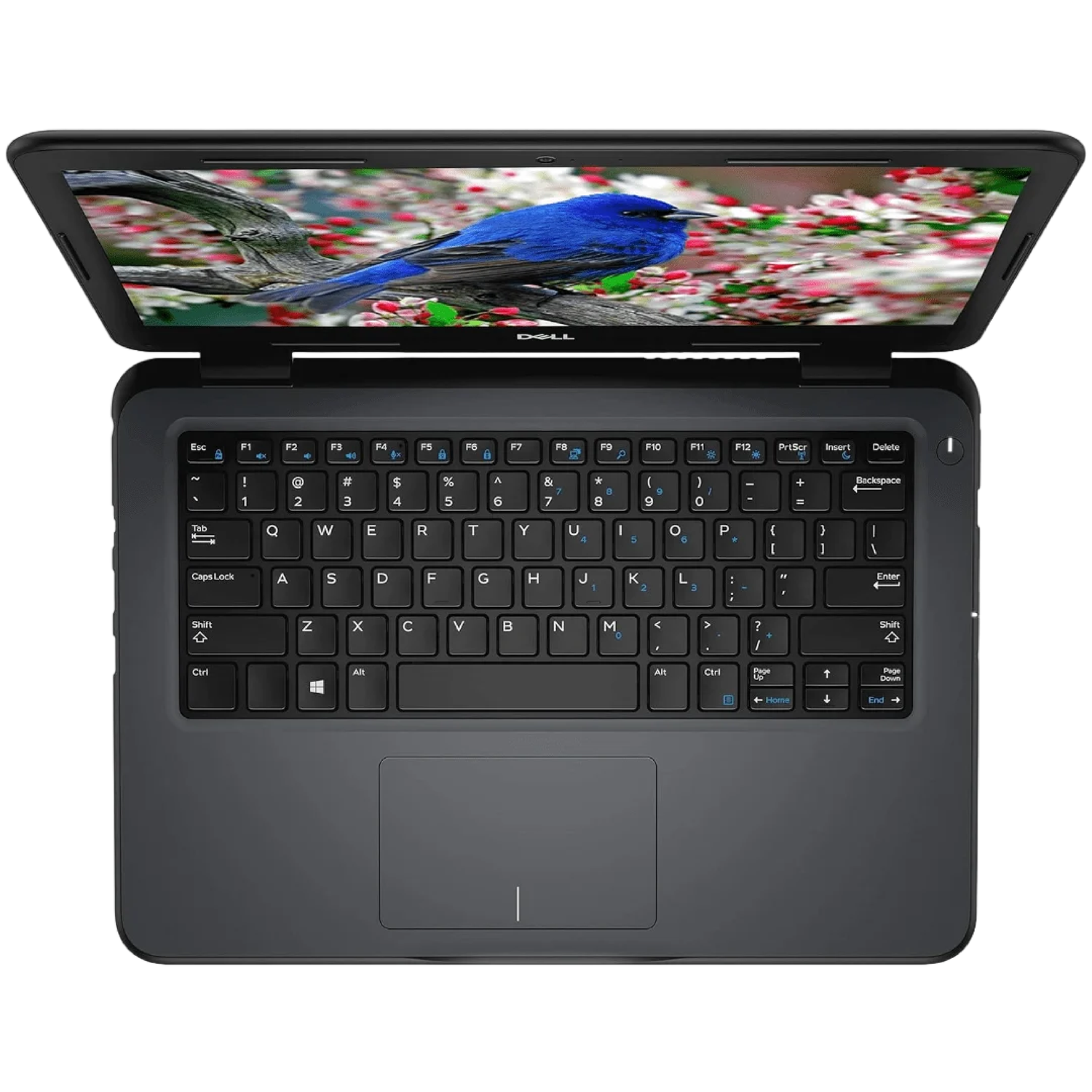 Laptop Dell Latitude 3300 Core i5 8va Gen – 8GB DDR4, 256GB SSD, 13.3” - Imagen 3